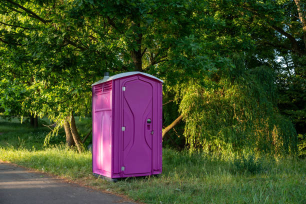 Best Wedding porta potty rental  in Dillingham, AK